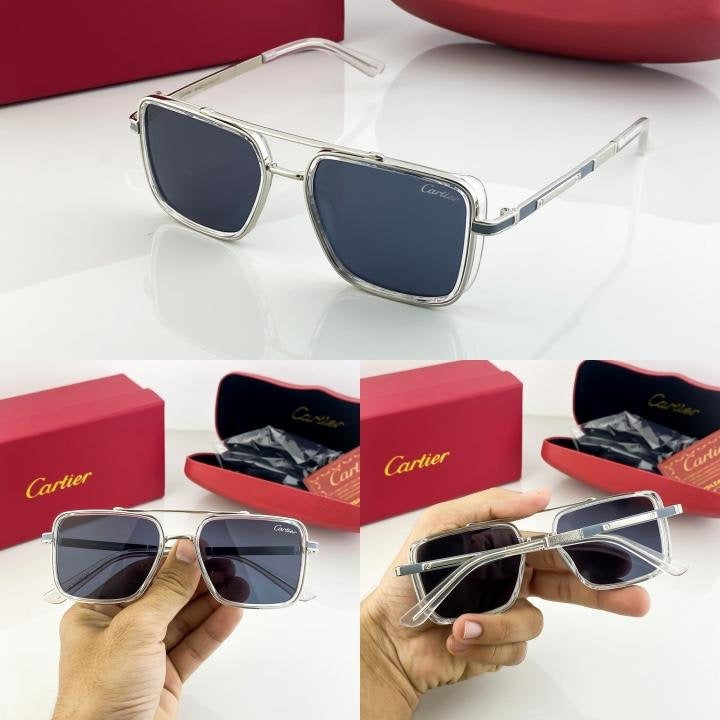 Cartier Silver Black 210 Sunglasses