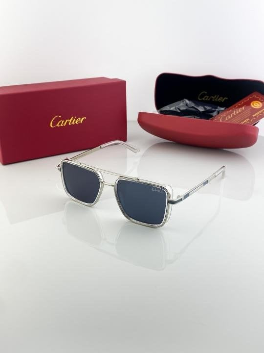 Cartier Silver Black 210 Sunglasses Main image