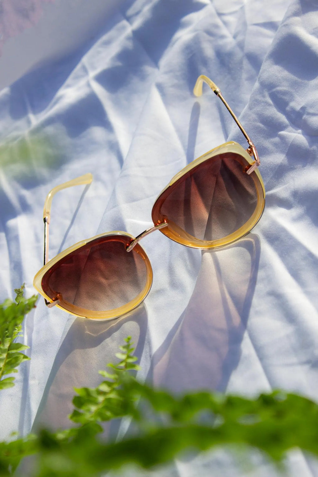 Front Lens Oversized Sunglasses in Beige