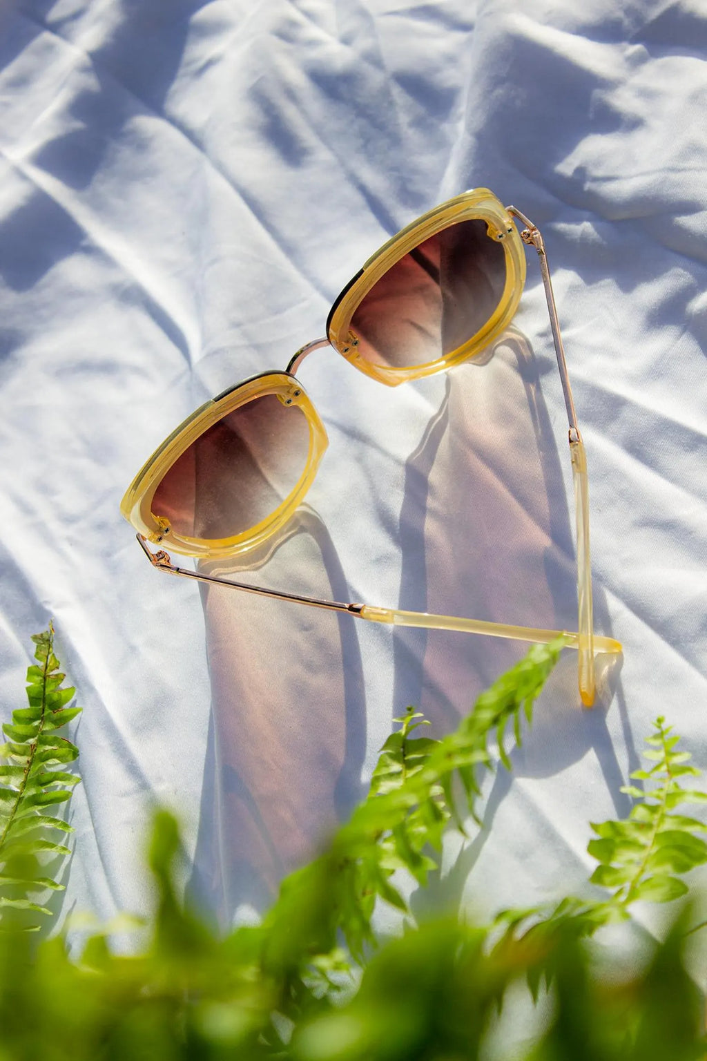 Front Lens Oversized Sunglasses in Beige