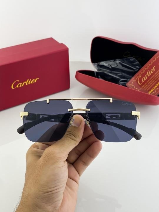 Cartier Gold Black 3120 Sunglasses