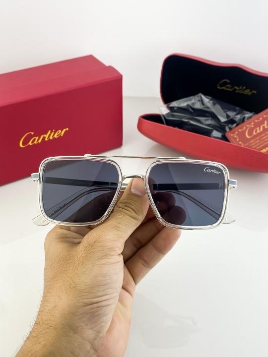 Cartier Silver Black 210 Sunglasses