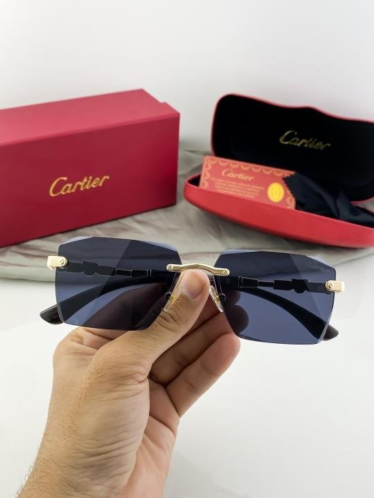Cartier Gold Black 3072 Sunglasses