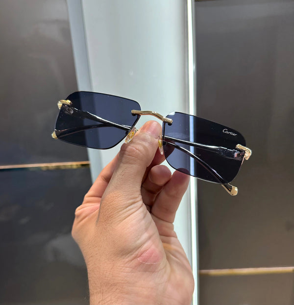 Cartier 3080 Gold Black Ultimate Luxury Shade