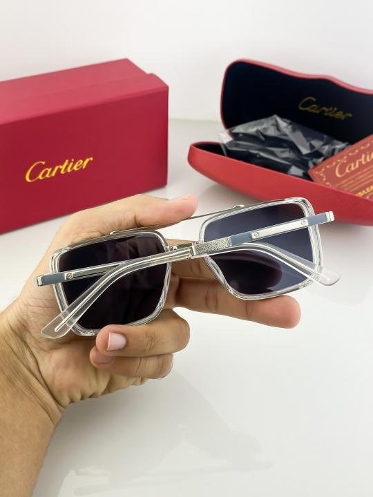 Cartier Silver Black 210 Sunglasses
